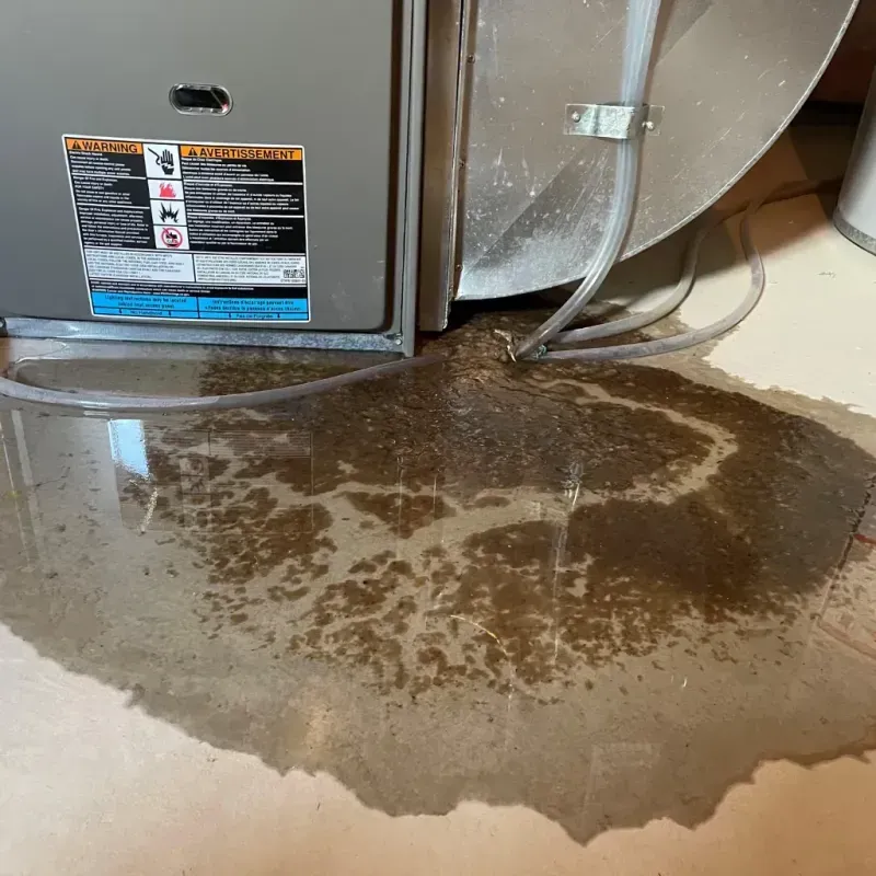 Appliance Leak Cleanup in Middletown, RI